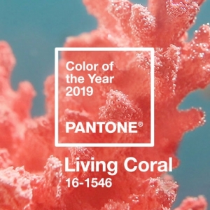 珊瑚色：PANTONE(潘通)发布2019年度代表流行色